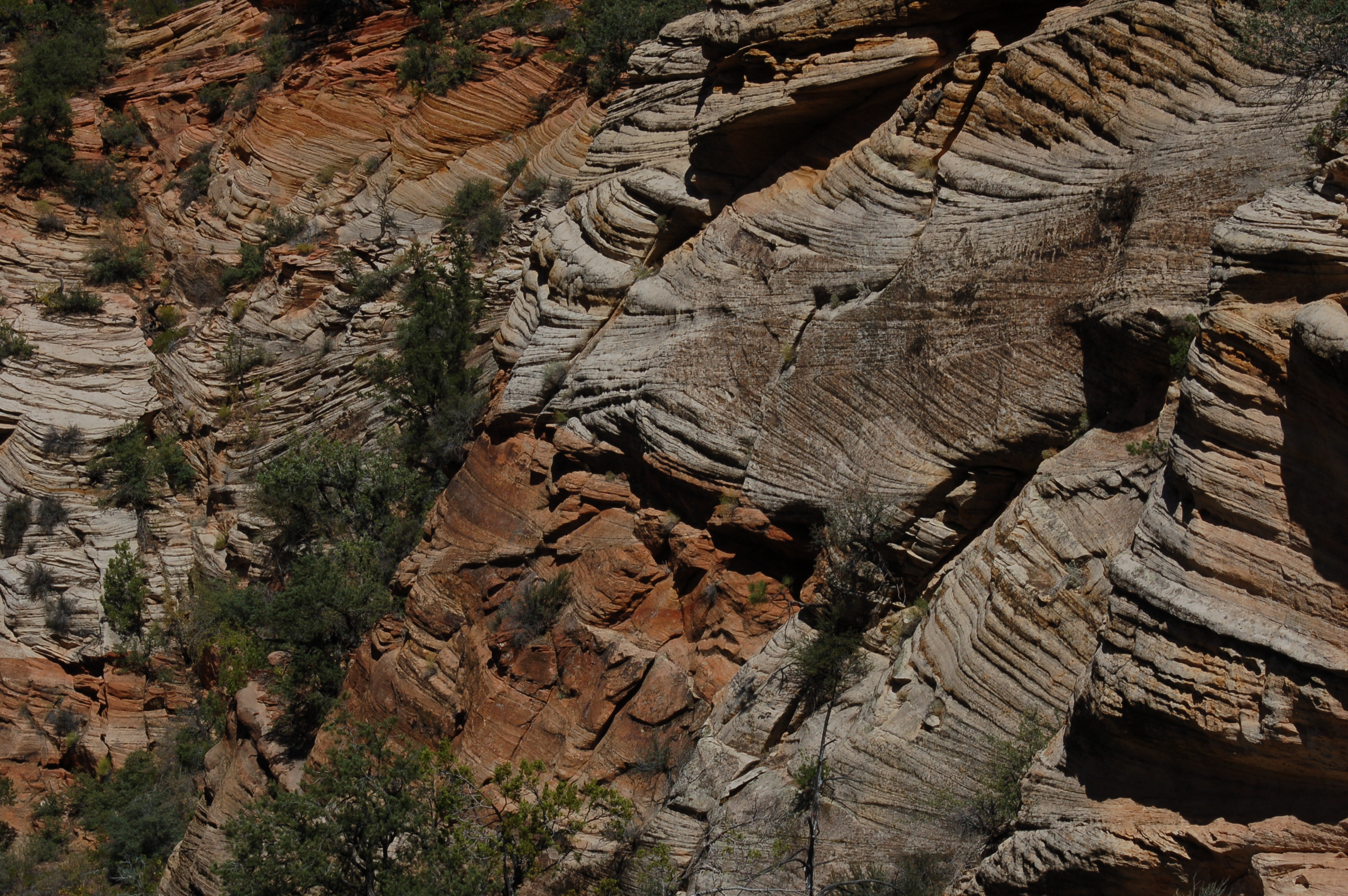 Zion NP